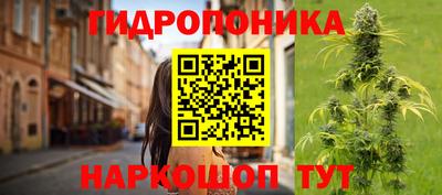 шишки Краснодар