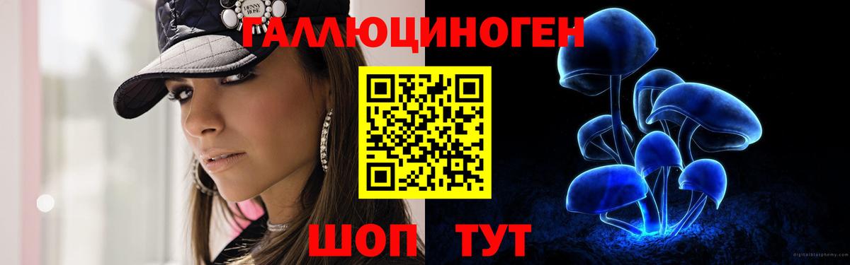 Псилоцибиновые грибы Psilocybe Майкоп